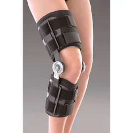 gm-k12-terdortezis-univerzalis