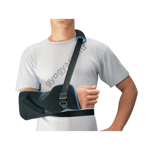 immo-classic-vall-es-karrogzito-heveder